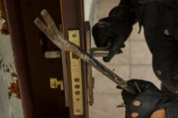 Dva měsíce žil v cizím domě. Po sobě zanechal zvratky, exkrementy a škodu za desetitisíce