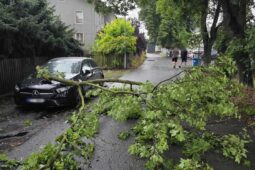 Noční bouřky zaměstnaly hasiče v Libereckém kraji. V České Lípě spadl strom na auto