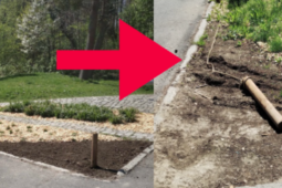 Vandal zničil v Třinci záhon, který vysadily děti
