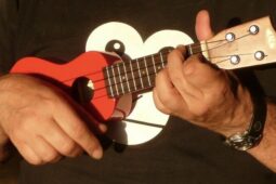 V Úněticích vás čeká 14. Český ukulele festival
