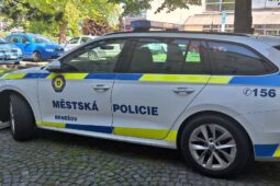 Strážníci bojovali o život muže přímo v areálu benešovské nemocnice. Rozhodovaly minuty