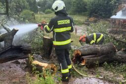 Blesk zapálil dutou hrušeň. Hasiči ji museli pokácet