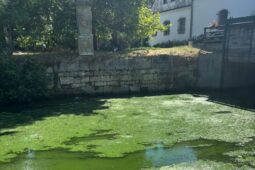 Jihomoravští rybáři mají strach o ryby v Dyji