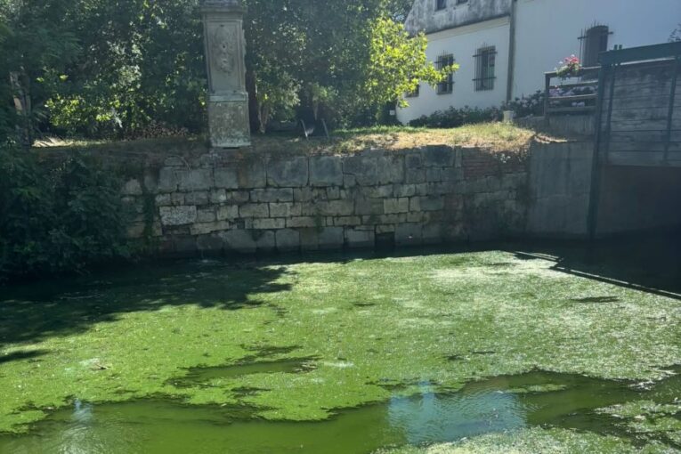 Jihomoravští rybáři mají strach o ryby v Dyji