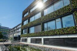 Praha podpoří zelené střechy i zachytávání dešťové vody. Na dotace připravila 50 milionů korun