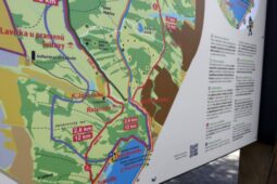 Nový projekt Mechová stezka přinese nové možnosti u rybníku Rosničky