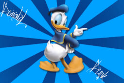Kačer Donald bez kalhot měl pobouřit Finsko. Mýtus, kterému uvěřil celý svět
