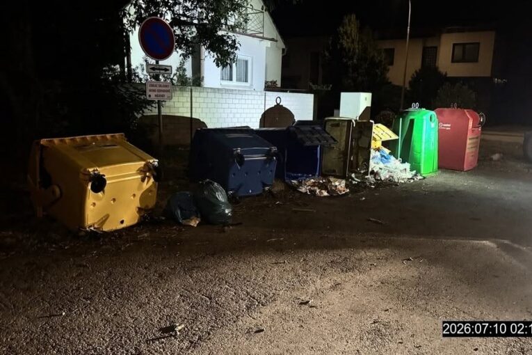 Noční život břeclavských popelnic  je pestrý