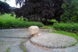 Horké dny jsou zpět. Odborníci radí, jak zvládnout vedra