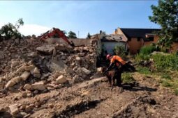 VIDEO: Sutiny, adrenalin a přesná práce psů. Hasiči hledali zavalené osoby