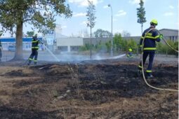 Požár od včelařského dýmáku způsobil milionové škody. Hasiči měli v kraji mimořádně náročné odpoledne