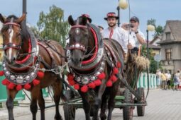 Folklor, koncerty i historická podívaná. Přerov zve na Svatovavřinecké hody