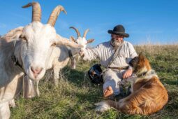Rádi fotíte? Fotosoutěž Valašsko – můj domov míří do finále