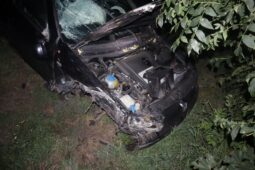 Mladá řidička zapojovala za jízdy kabel. U Bezdězu narazila do stromu, spolujezdkyně je v nemocnici