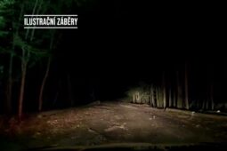 VIDEO: Pět dětí z tábora na Znojemsku se ztratilo v lese  