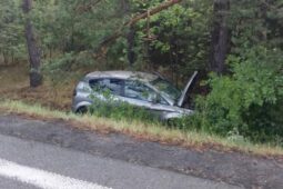 Náhlý mikrospánek a auto skončilo v lese. Mladá řidička se zranila u Studence