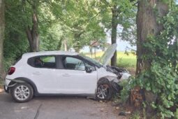 Řidička Citroenu u České Bělé nezvládla řízení, při nárazu do stromu se zranila