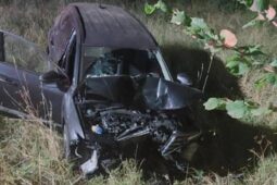 Opilost se krutě vymstila. Řidič u Telče rozbil auto o strom