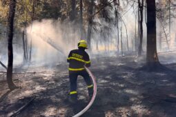 FOTO: Plameny se z pole rychle rozšířily do lesa. Na Klatovsku zasahovalo 13 jednotek hasičů