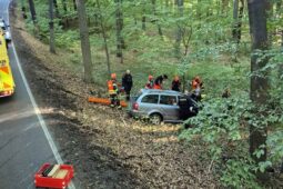 Senior sjel ze silnice a narazil do stromu, při nehodě přišel o život