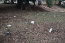 Domácí hádka přerostla v „Itálii“. Z balkonu i okna létaly talíře a sklo