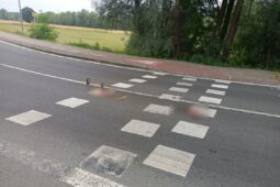Cyklista spadl na silnici. Našli jej lidé. Policie hledá svědky