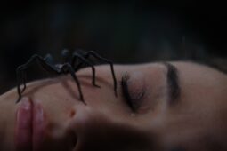 Doteď jste se nebáli pavouků? Po tomto hororu vám bude běhat mráz po zádech jen při zmínce o pavoukovi