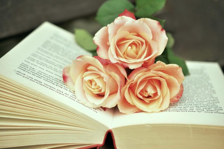 Zdroj foto: Pixabay.com