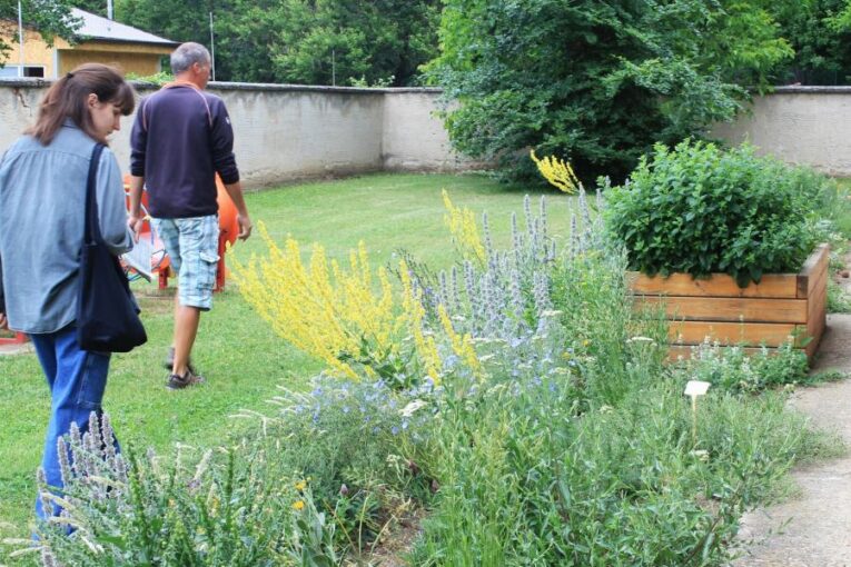 V Lednici vznikly ukázkové záhony s původními druhy rostlin