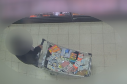 VIDEO: Bratři předstírali duševní onemocnění. Devatenáct let se jim dařilo systém klamat