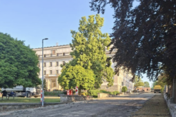 Jedna ulice se opravuje, další čekají. Kozinovo pole projde postupnou proměnou