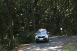 Cyklista narazil do stromu a zemřel. Kriminalisté zjišťují, co pádu předcházelo