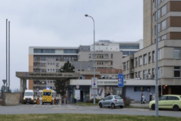 Do nemocnice nově zajedou trolejbusy. Plzeň zavádí linku 49 a prodlouží další spoje