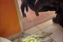 VIDEO: Z bytu slyšeli tichý hlas. Dostat se do něj museli oknem