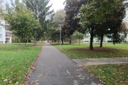 Štěpnice se začnou měnit. Přibude zeleň, nové parkování i místa pro odpočinek