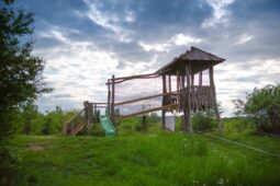 Výlet za zubry bude pohodlnější. Milovická rezervace otevřela novou vyhlídku
