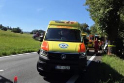 Řidička nákladního auta havarovala čelně do stromu. Ve voze měla chlapce