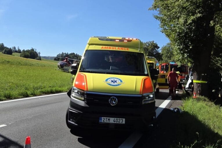 Řidička nákladního auta havarovala čelně do stromu. Ve voze měla chlapce