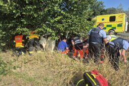 Auto u Vések narazilo do stromu. Zranila se řidička i čtyři děti
