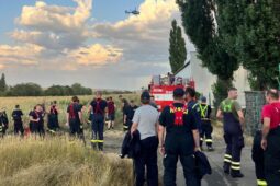 Pátrání po ztracené dívence v okolí Šaratic na Vyškovsku dopadlo dobře