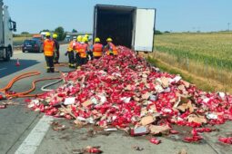 Hasiči likvidovali požár kamionu na D2 u Velkých Pavlovic a požár porostu u dálnice