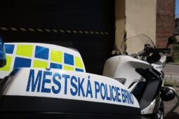 Opilý mladík přelezl dvoumetrový plot a šel si zaplavat k cizím lidem