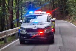 U Doubravníku zemřelo dítě po nárazu auta do stromu, dalších pět lidí se zranilo