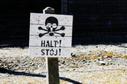 Kameny zmizelých připomínají další oběti nacistického pronásledování