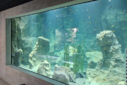 Nové akvárium v Zoo Hodonín je už přístupné 