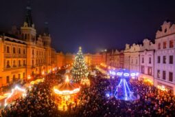 Kdo daruje letošní vánoční strom? Pardubice se obrací na veřejnost