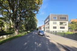 V ulici vzniknou nová místa k parkování, stromy by k zemi jít neměly