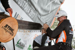 V Bělském lese se uskuteční Festival dřeva. Přesekávat se budou velké kmeny
