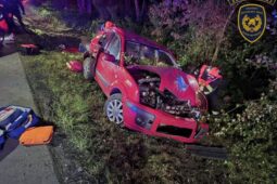 Auto u Zlína narazilo do stromu, jeden ze spolujezdců nepřežil