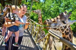 Zoo láká na levnější vstupné. Každý pátek v září a říjnu zaplatí návštěvníci jen stovku
